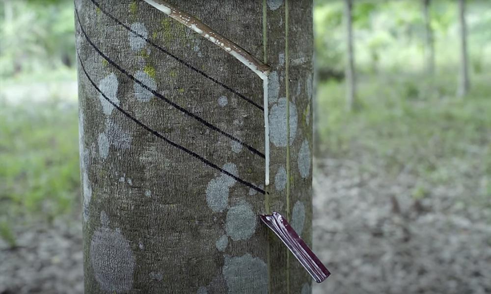 国信期货日评：油价维持震荡反弹，胶价震荡上涨